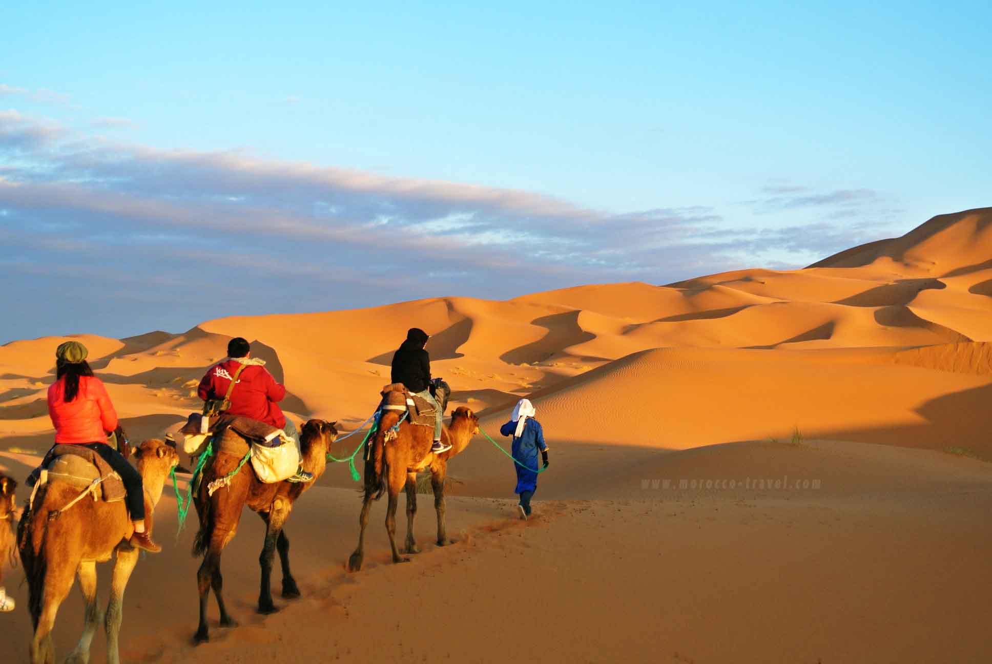 merzouga desert travel